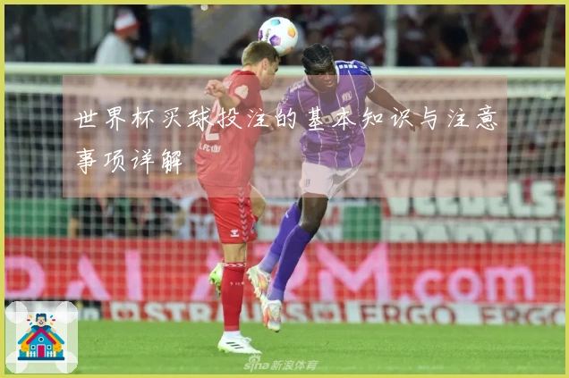 世界杯买球投注的基本知识与注意事项详解