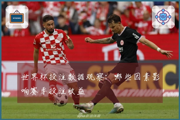 世界杯投注数据观察:哪些因素影响赛季投注收益