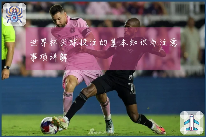 世界杯买球投注的基本知识与注意事项详解