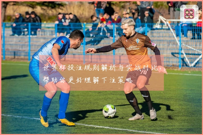 世界杯投注规则解析与实战对比，帮助你更好理解下注策略