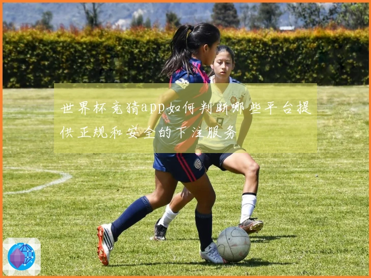 世界杯竞猜app如何判断哪些平台提供正规和安全的下注服务