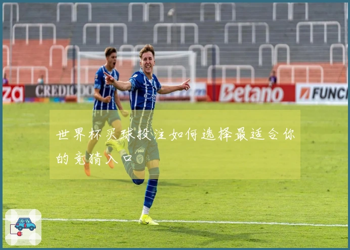 世界杯买球投注如何选择最适合你的竞猜入口